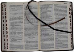 Biblia. Noua traducere 
