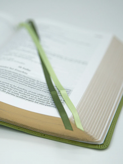 Biblia NTR in ordine cronologica zilnica pentru un an