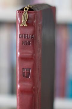 Biblia NTR Vintage