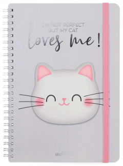 Agenda 2024 - 12 Month Weekly Diary - Large - Spiral Bound - Kitty