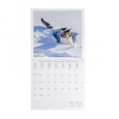 Calendar de perete 2024 - Cats, 30x29 cm