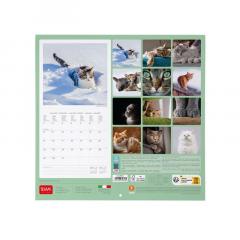 Calendar de perete 2024 - Cats, 30x29 cm