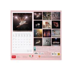 Calendar de perete 2024 - Ballet, 30x29 cm