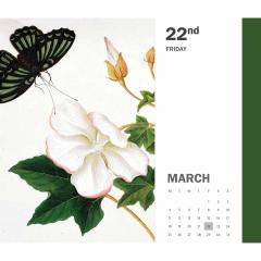 Calendar 2024 - Royal Botanic Gardens Kew