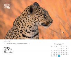 Calendar 2024 - Photo of the Day