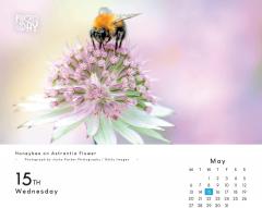 Calendar 2024 - Photo of the Day