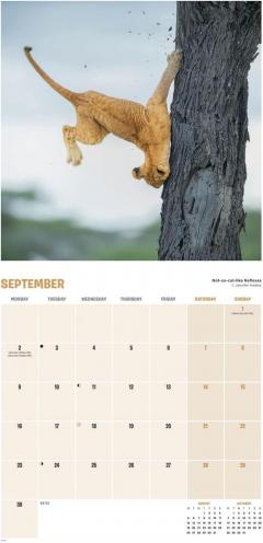 Calendar 2024 - Comedy Wildlife Photography Awards