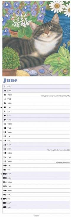 Calendar 2024 - Cats By Anne Mortimer