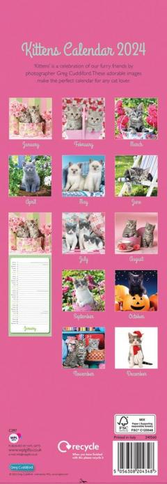 Calendar 2024 - Kittens By Greg Cuddiford