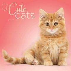 Calendar 2024 - Cute Cats