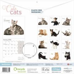 Calendar 2024 - Cute Cats