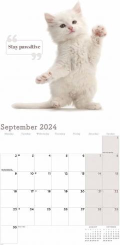 Calendar 2024 - Cute Cats