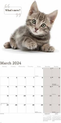 Calendar 2024 - Cute Cats