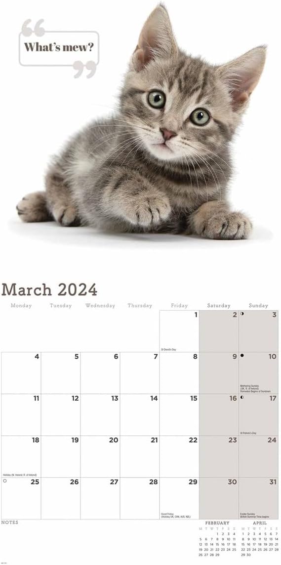 Calendar 2024 Cute Cats Carousel