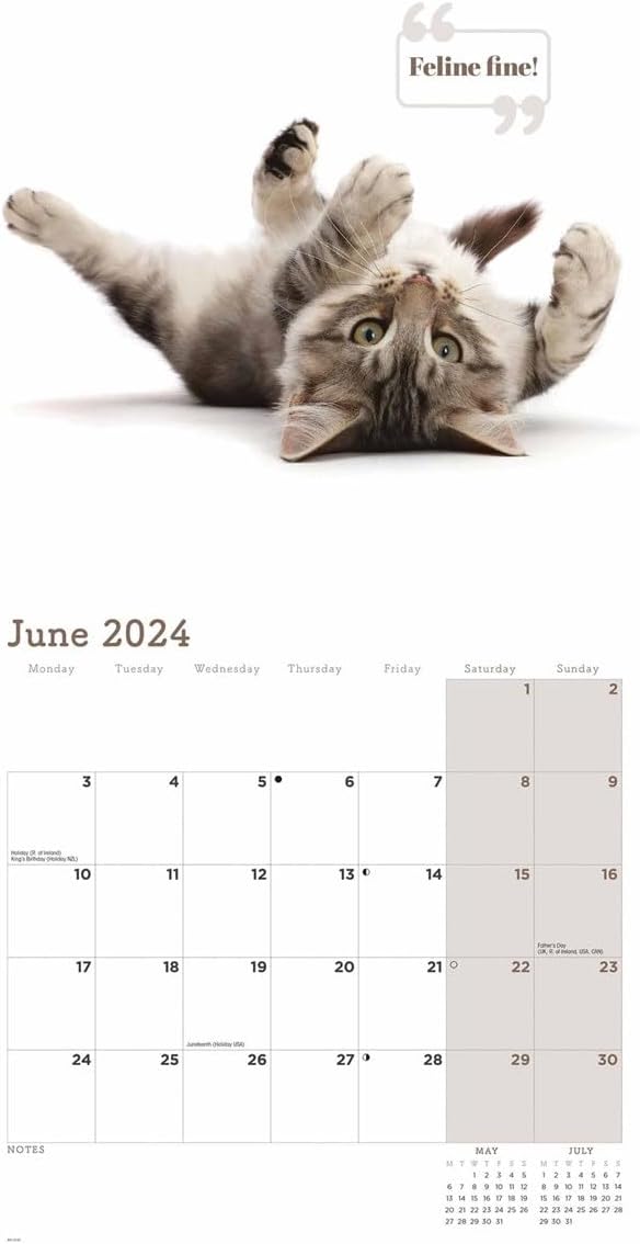 Calendar 2024 - Cute Cats - Carousel