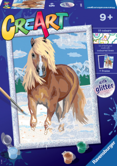 Set pictura pe numere - Cal