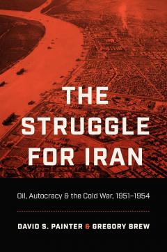 Coperta cărții The Struggle for Iran