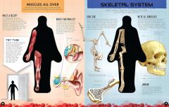 Inside Out Human Body