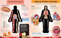 Inside Out Human Body