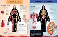 Inside Out Human Body