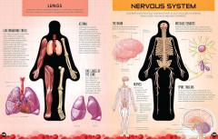 Inside Out Human Body