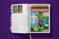 Marvel Comics Library. Silver Surfer.  Volume 1