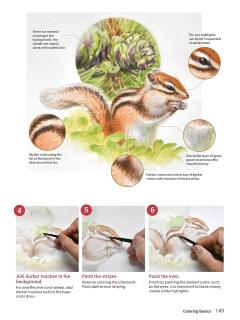 How to Draw Animals