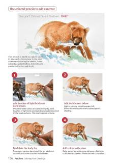 How to Draw Animals