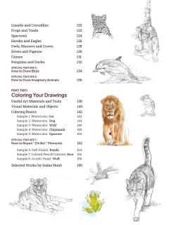 How to Draw Animals