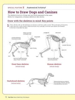 How to Draw Animals