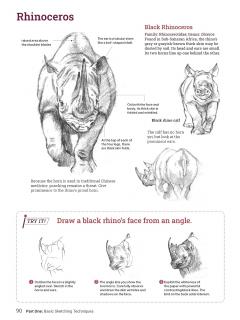 How to Draw Animals