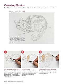 How to Draw Animals