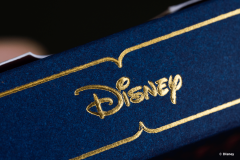 Carti de joc - Disney Princess - Navy