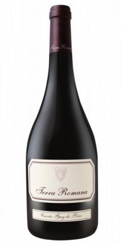 Vin rosu - Terra Romana, Serve / Cuvee Guy de Poix, Feteasca Neagra, sec, 2015