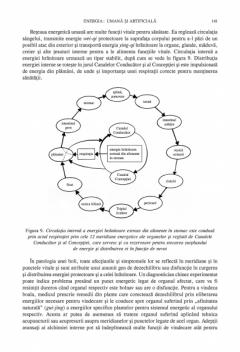 Ghid complet de medicina chineza