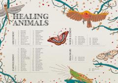 Healing Animals