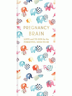 Carnet - Pregnancy Brain Lists and To-Dos