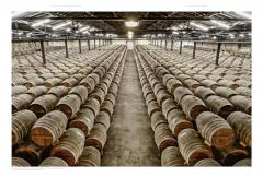 The Spirit of Cognac