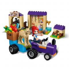 Grajdul Miei (41361)