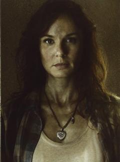 The Walking Dead - Season 1-3