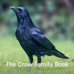 Coperta cărții The Crow Family Book