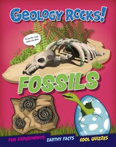 GEOLOGY ROCKS FOSSILS