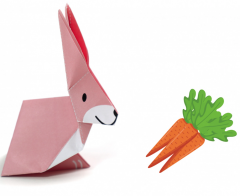 Origami - Animale de companie - Nivel 1