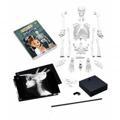 Jucarie educativa - Skeleton 45 cm