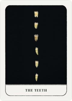 Gentle Chaos Pocket Oracle Deck