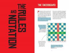 Chess from Beginner to Winner!