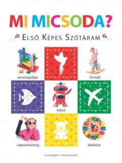 Mi micsoda? 
