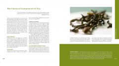 Tea History, Terroirs, Varieties