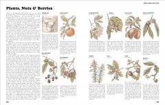 The Complete Book of Self-Sufficiency