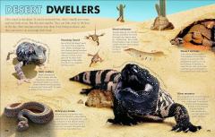 Everything You Need to Know About Snakes and Other Scaly Reptiles